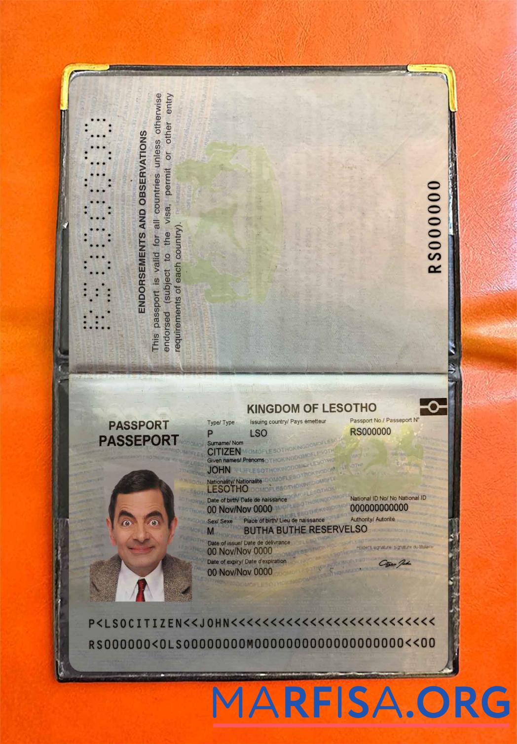 Blank Lesotho Pass photo look real example